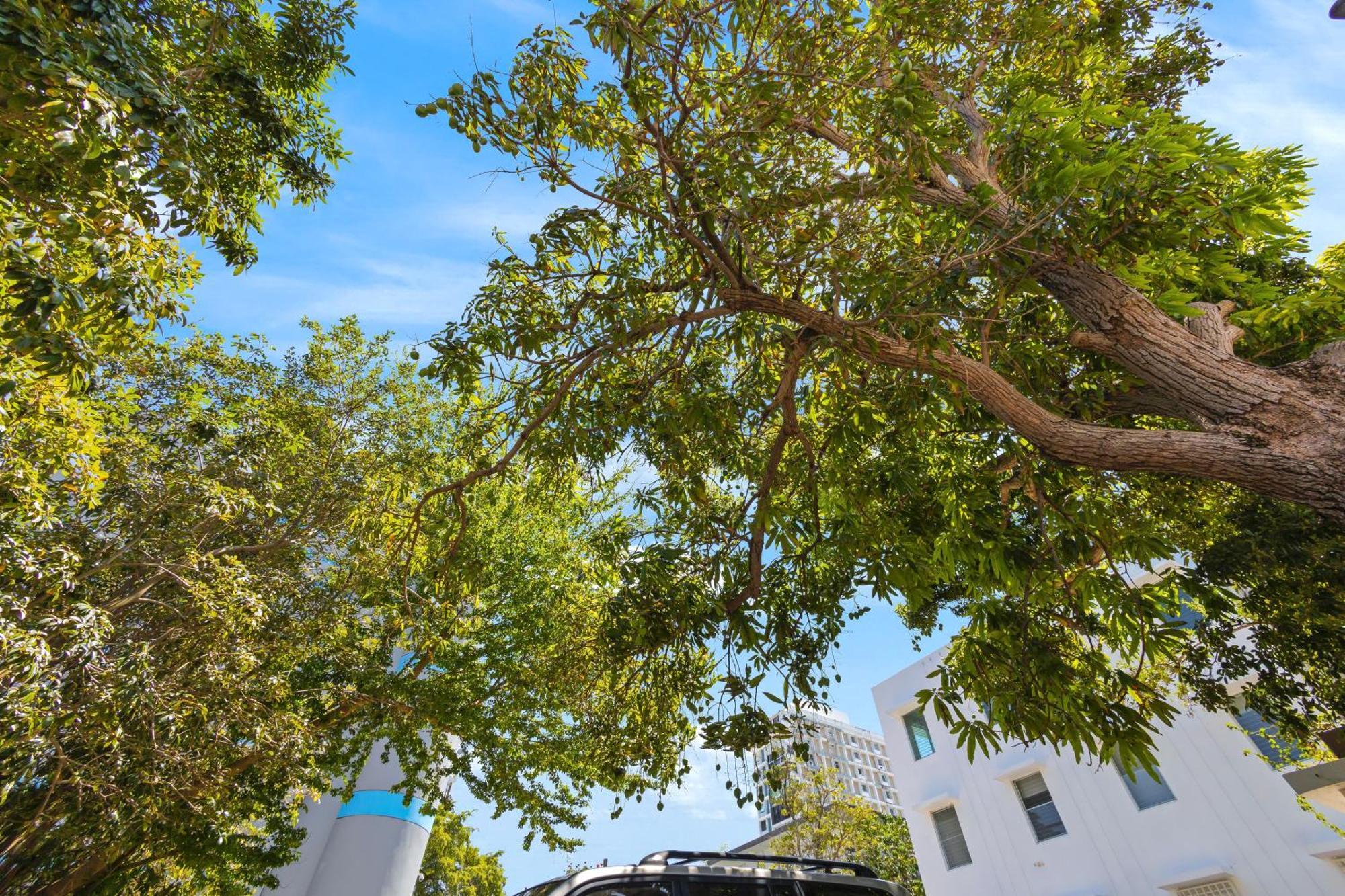 Hidden Gem In Miramar- Power Generator- Parking Apartment San Juan Luaran gambar