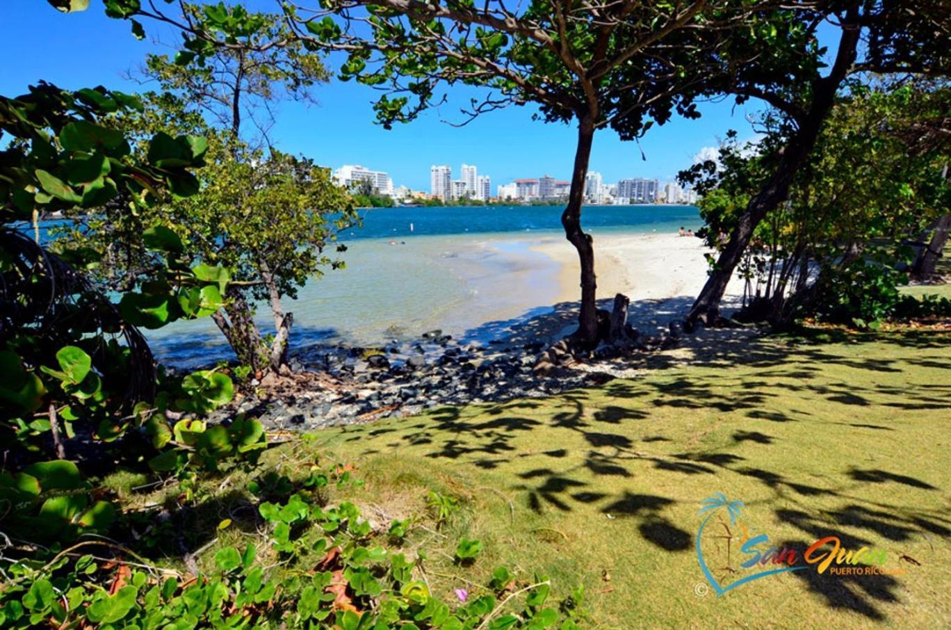 Hidden Gem In Miramar- Power Generator- Parking Apartment San Juan Luaran gambar